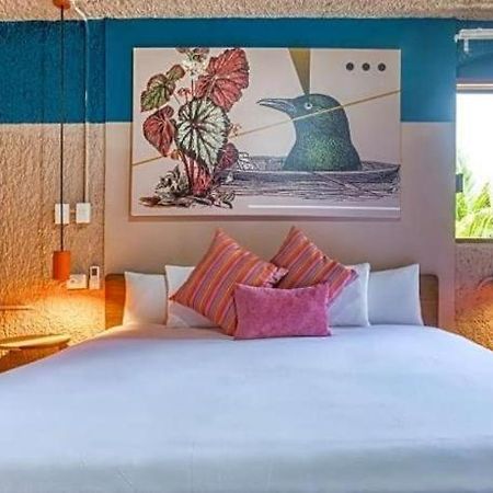 Selina Cancun Laguna Zona Hotelera エクステリア 写真